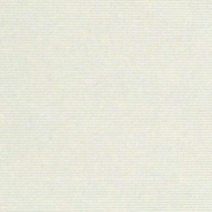 300182-2259_main.png ПЛЭЙН блэкаут DBL 2259 магнолия, 200 см